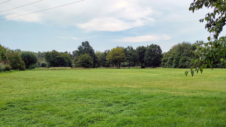 Die Veranstaltungsfläche im Schloss- und Auenpark: eine grüne Wiese mit Bäumen im Hintergrund.