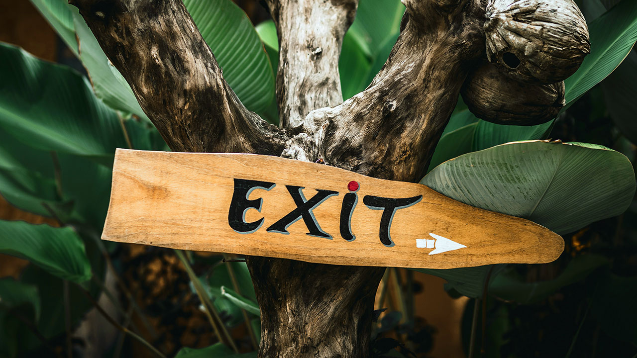 Holzschild mit der Aufschrift „EXIT“ an einem Baum mit großen grünen Blättern.