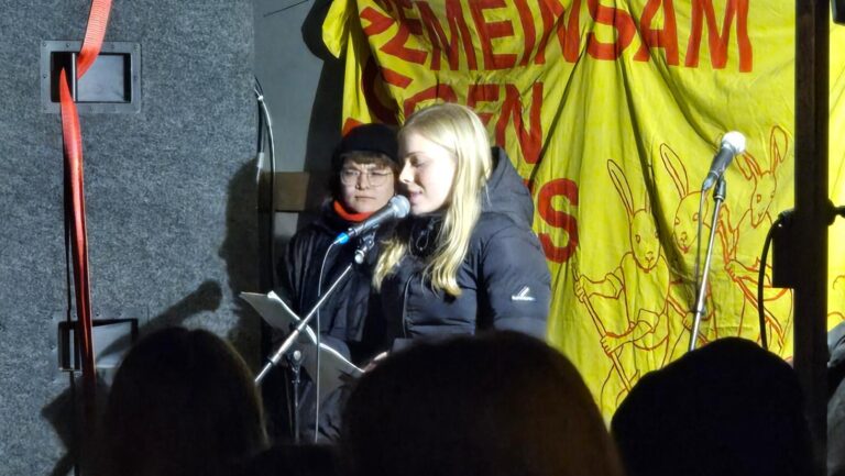 „AfD blockiert und zerstört unsere Demokratie, wo sie nur kann“